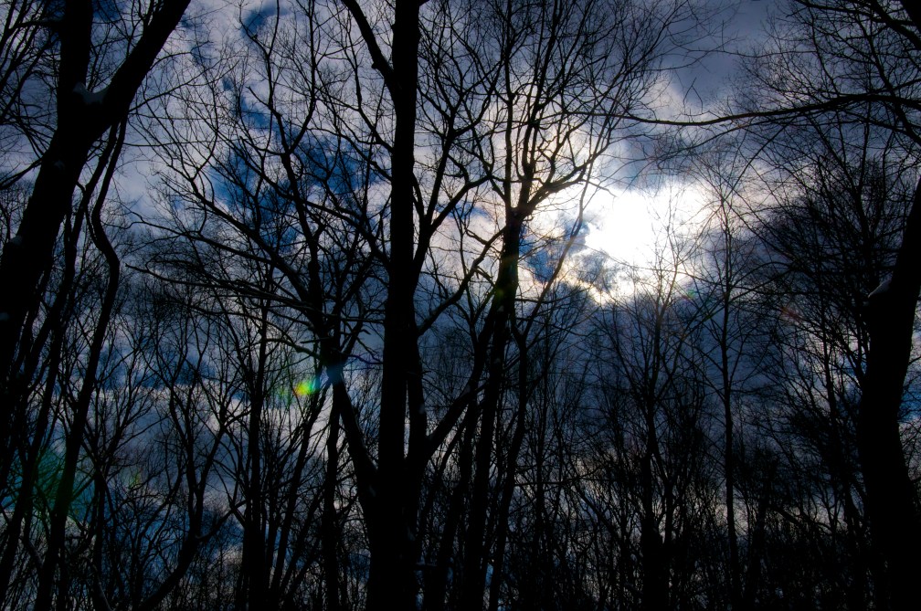 Reaching and clawing to a sky that is already closing up…