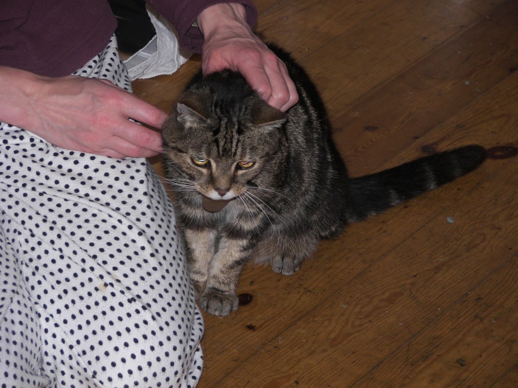 He was such a good cat…we miss him.