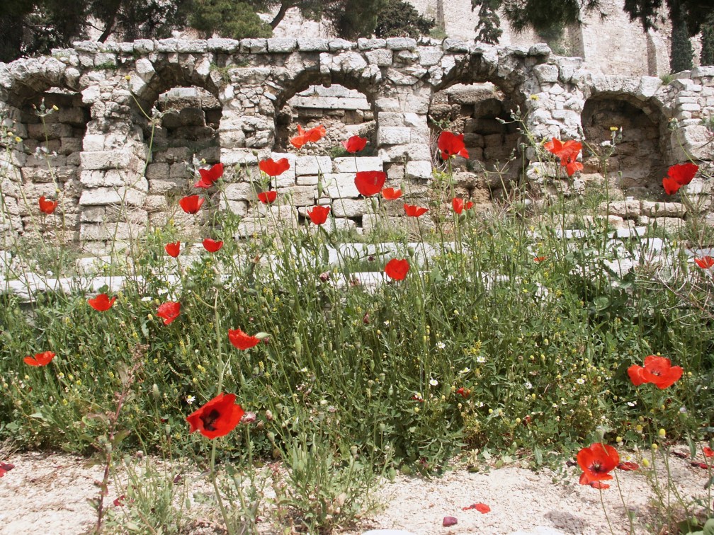 Gorgeous colors among gorgeous ruins.