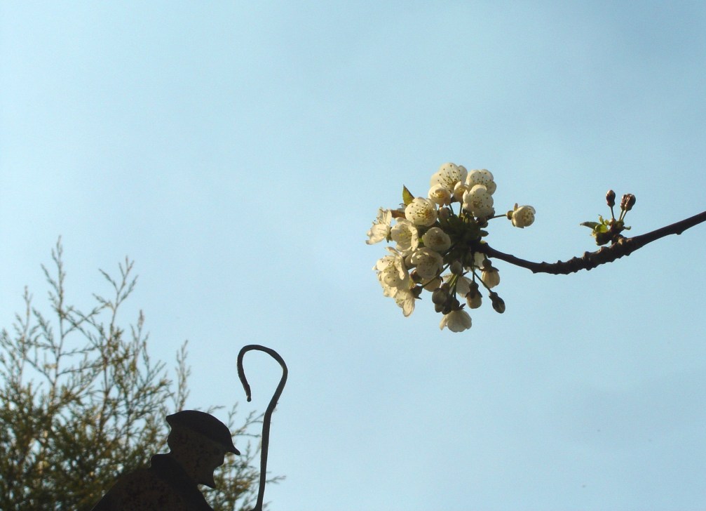 Doesn't it look like he's about to hook the flowers?