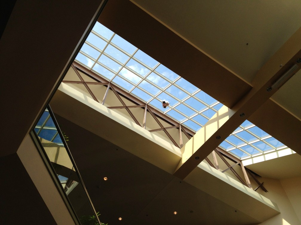 Oh…somebody lost their balloon.