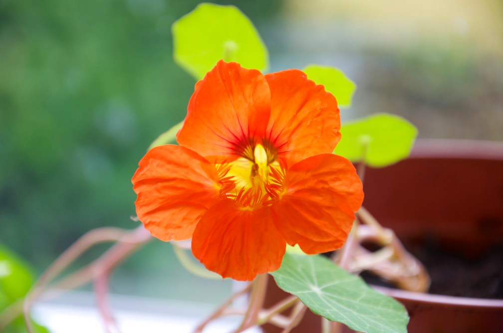 Look at those tiny spikes!