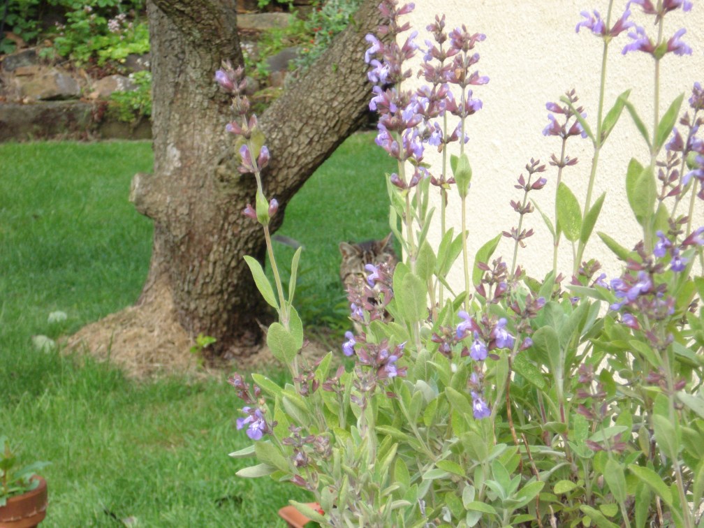 Who's that sneaking into the picture?