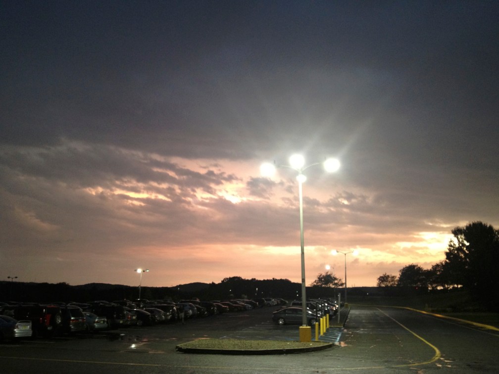 A little blurry, but kind of pretty all the same.