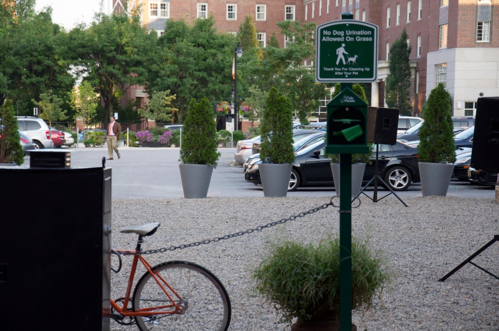 No dog urination on the…what?