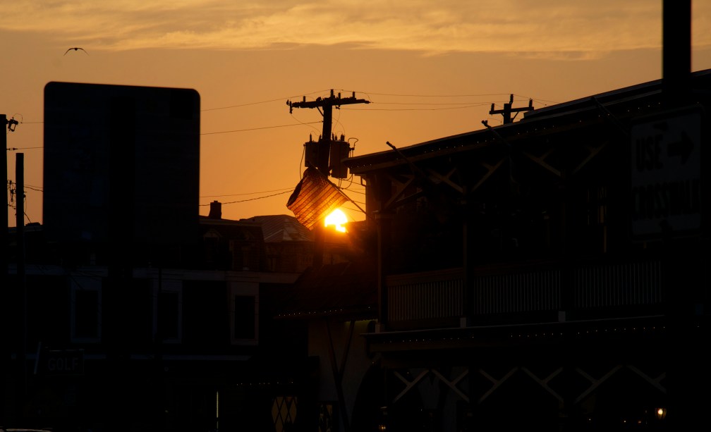 What a glorious moment to capture.