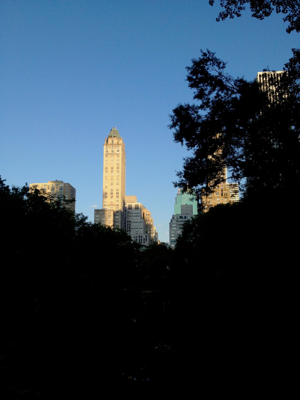 Skyscrapers and forests?