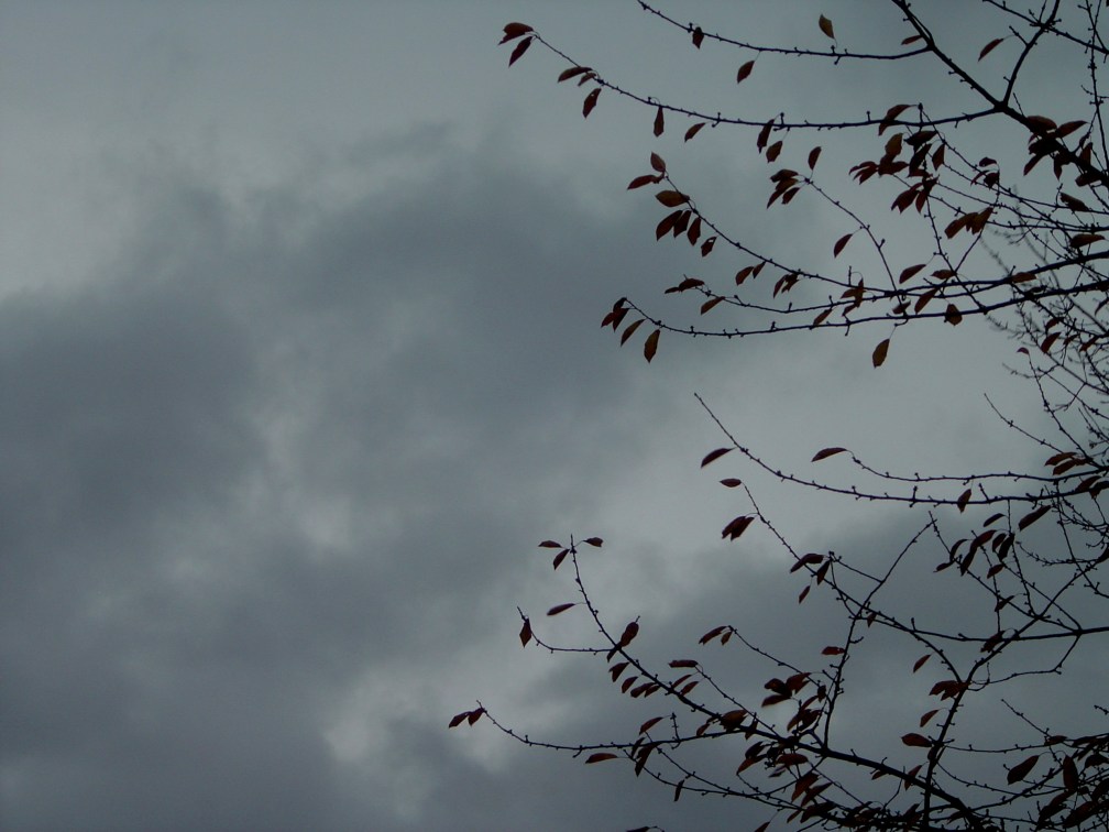 The gloom of winter settling in.