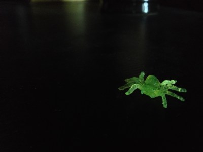 Glowing Spider