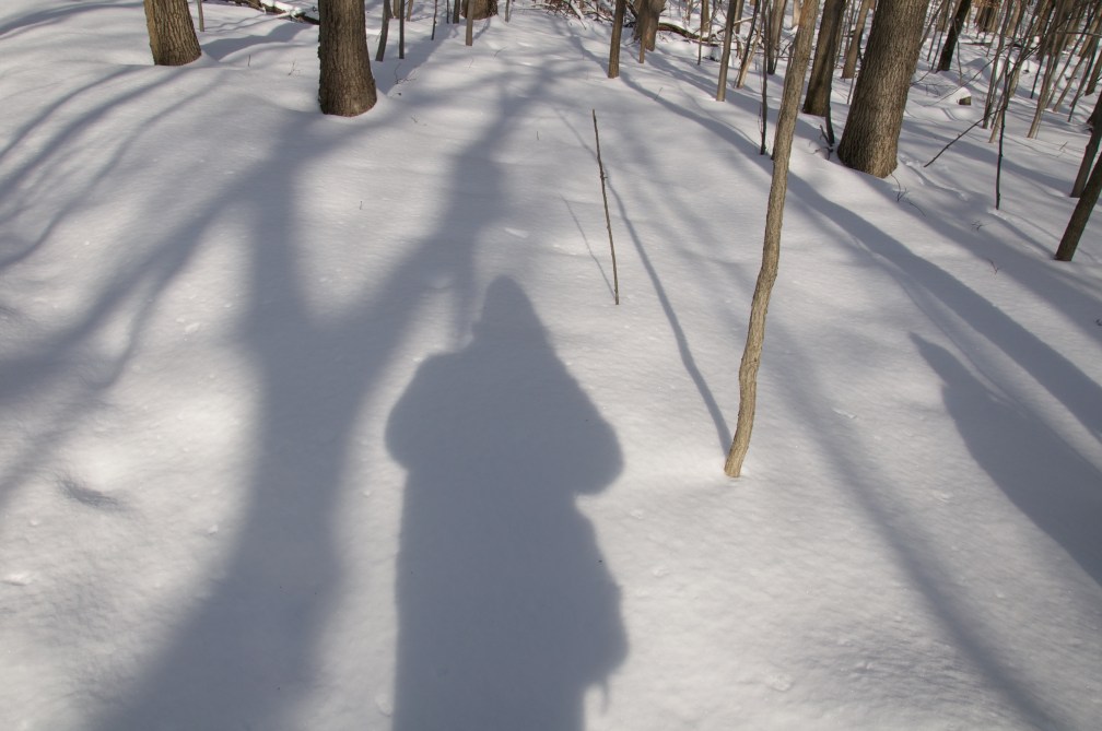 My shadow in the snow.