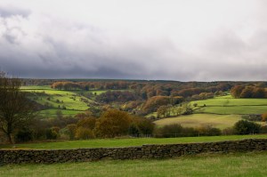 Mayfield Valley